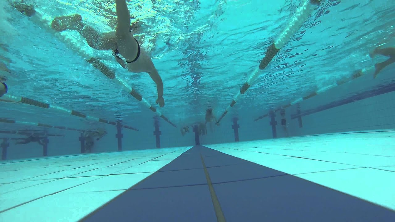 Bayside GESAC Swim Fast Lane - 9 April 2013