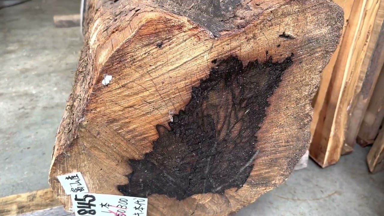 個展に向けて　黒柿の紹介