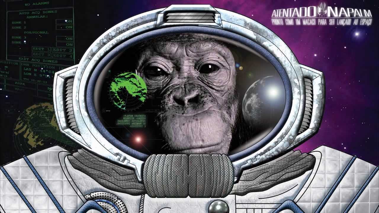 Pronto Como Um Macaco Para Ser Lançado Ao Espaço (Álbum Completo) - 2013