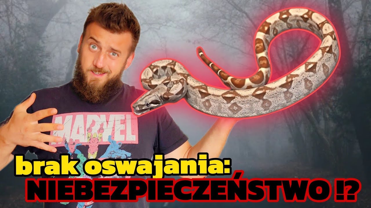 SZOKUJĄCE OSWAJANIE! Czy WĘŻE Atakują?! Sprawdź!!