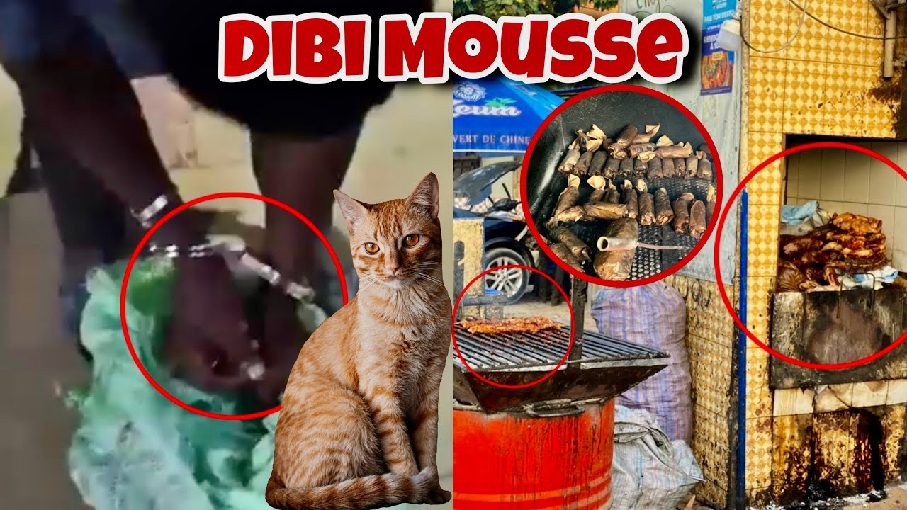 😭Allakhou Akbar: Après l'arrestation du vendeur de Dibi Mousse à Médina, les vendeurs de Bibiterie