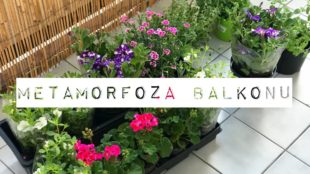 METAMORFOZA BALKONU - VLOG