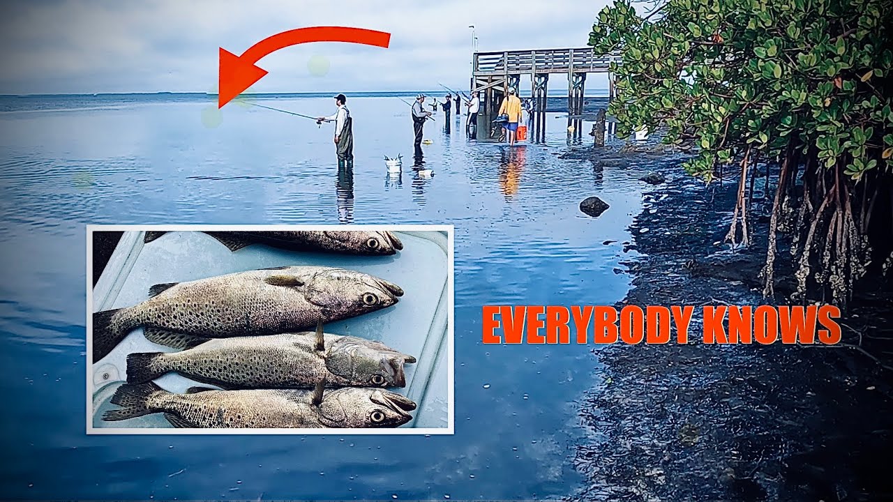 The SECRET IS OUT and EVERYBODY IS HERE at Anclote Gulf Park, Florida 🎣🐟