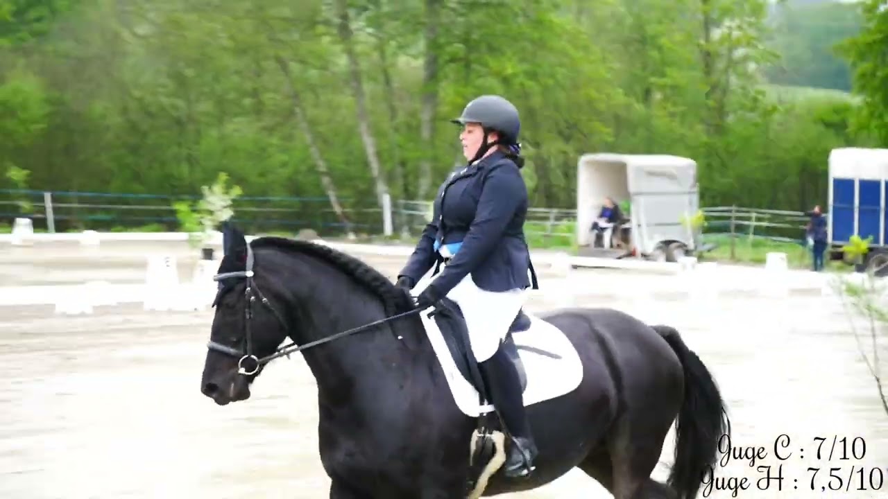 Notre tout premier concours de dressage ~ Club 4 ~ Centre Équestre Le Domino