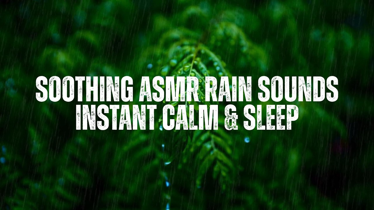 🌧️ Soothing ASMR Rain Sounds in Jungle for Instant Calm & Sleep
