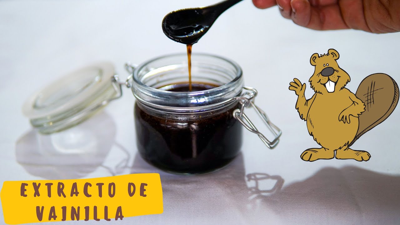🤮 🦦 ¿Las ESENCIAS de vainilla vienen del ANO del CASTOR? 🦦 🤮 RECETA de extracto de VAINILLA casero 🤤