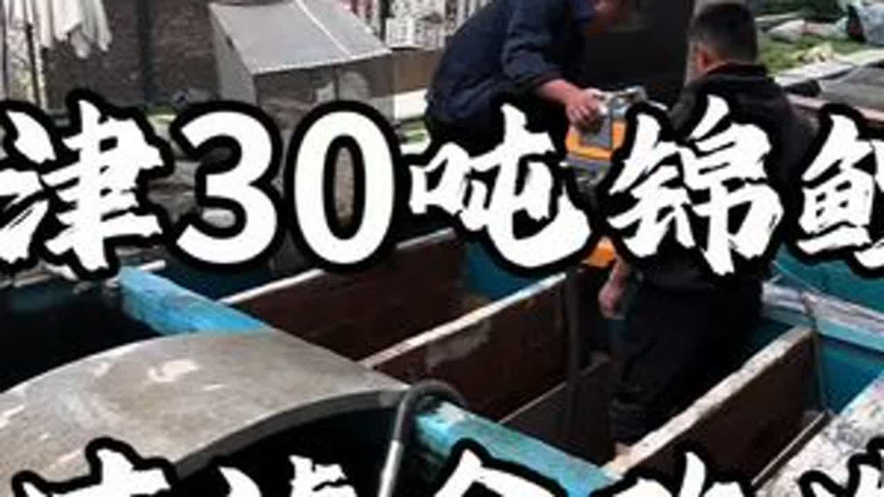 锦鲤池过滤仓改造 鱼池过滤系统改造#锦鲤鱼池 #过滤系统 #鱼池改造