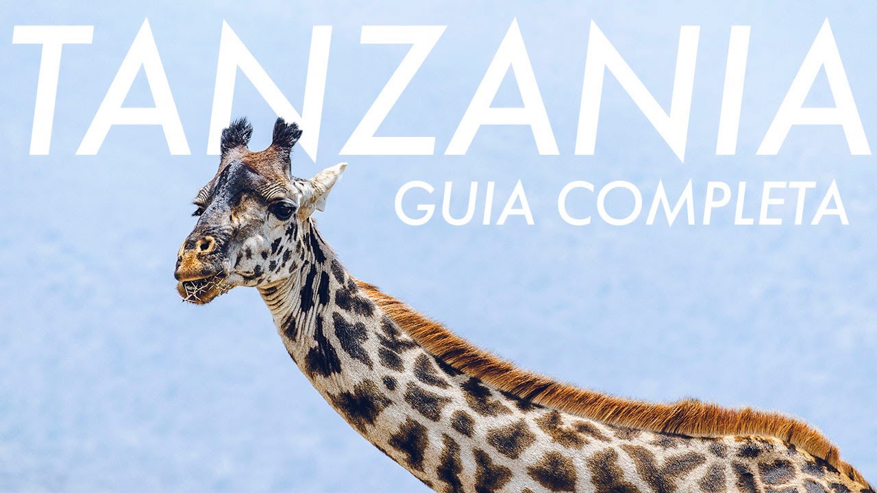 TODO SOBRE TANZANIA - PRESUPUESTO 15 DIAS