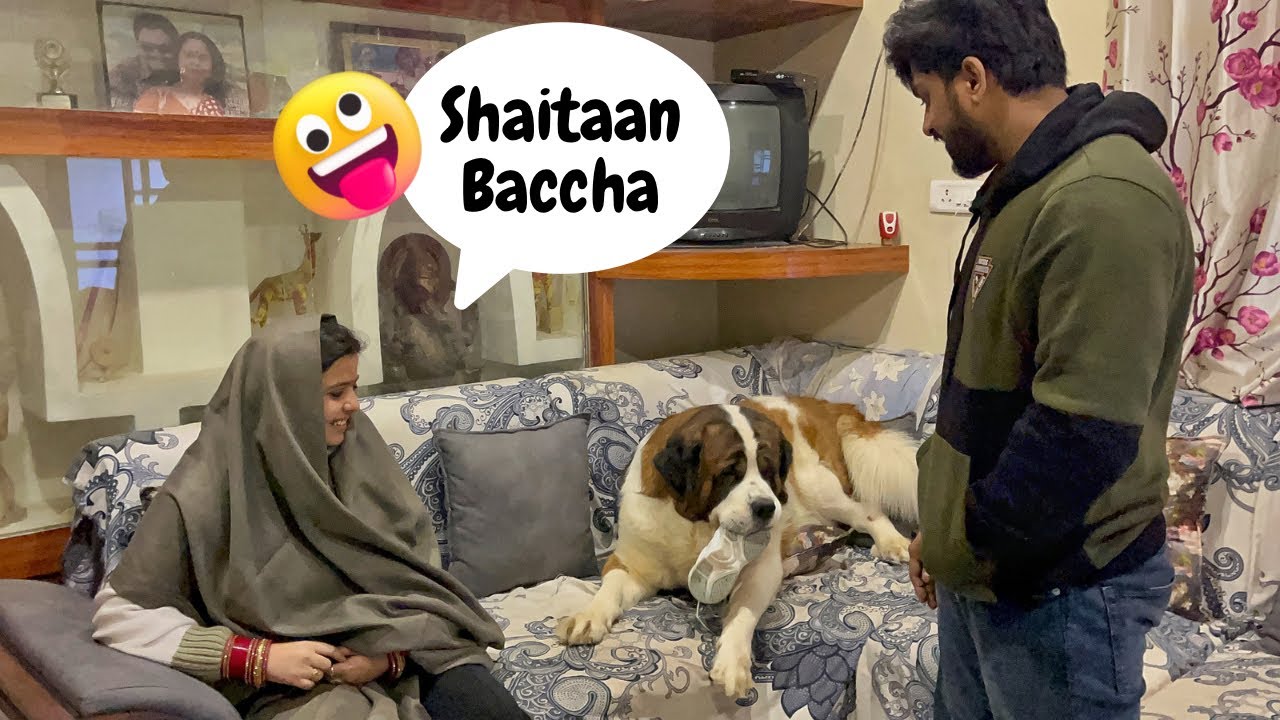 Tyzuu’s reaction when he saw bhabhi after 4months 🥰❤️