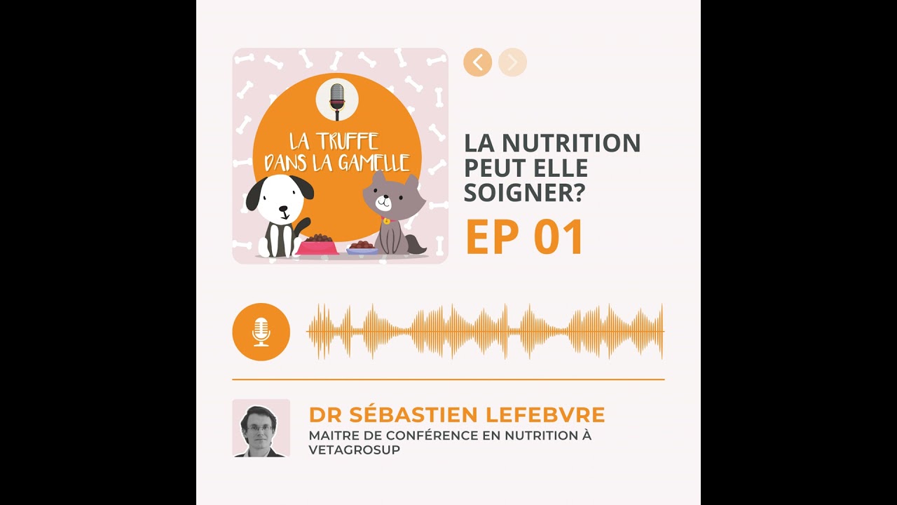 La Nutrition peut elle soigner?