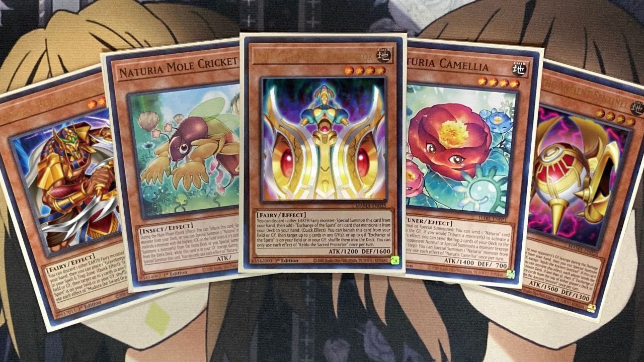 My Naturia Ishizu Yugioh Deck Profile for November 2022