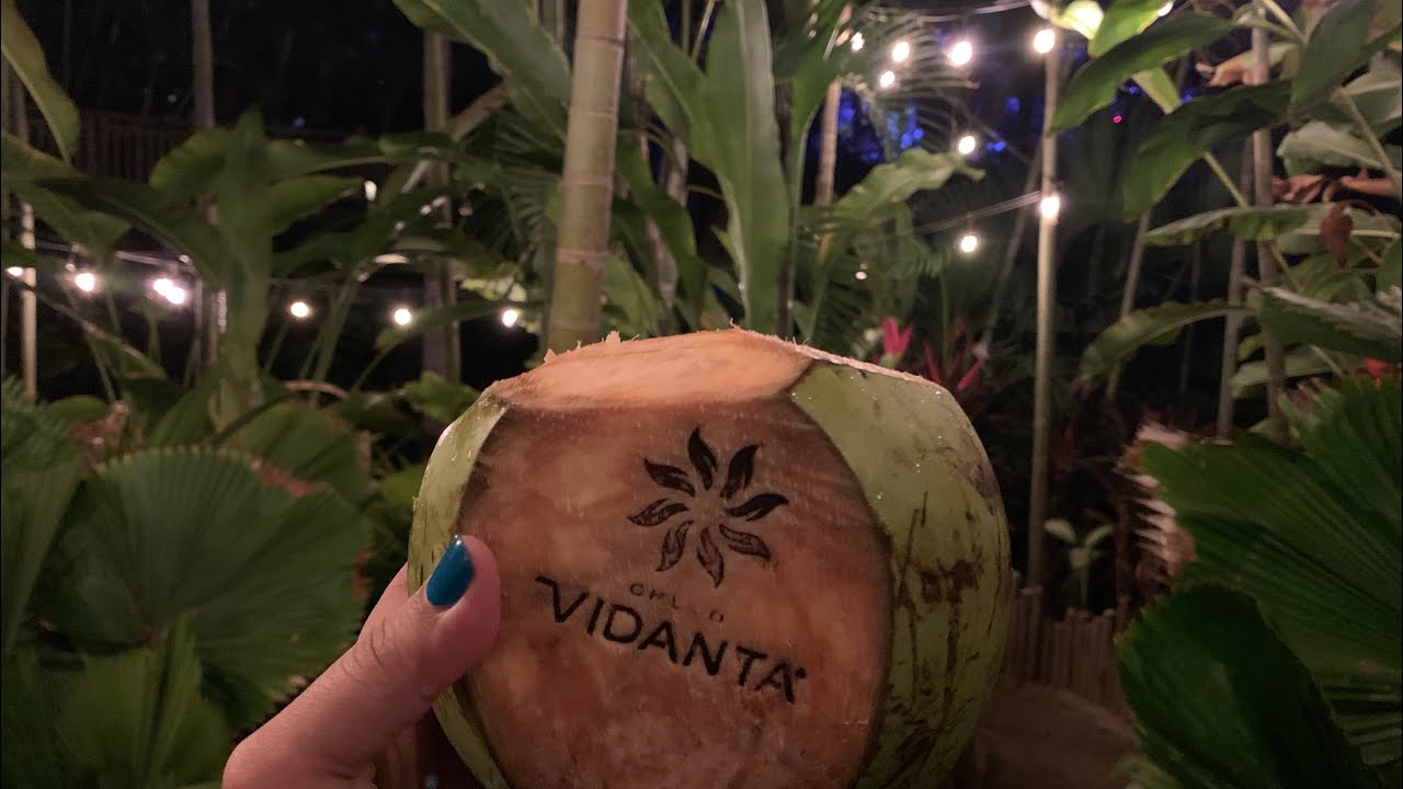 VIDANTA NUEVO VALLARTA ☀️🏝THE GRAND BLISS 🤩 | TOUR COMPLETO EN EL LUJOSO RESORT MEXICANO 🇲🇽