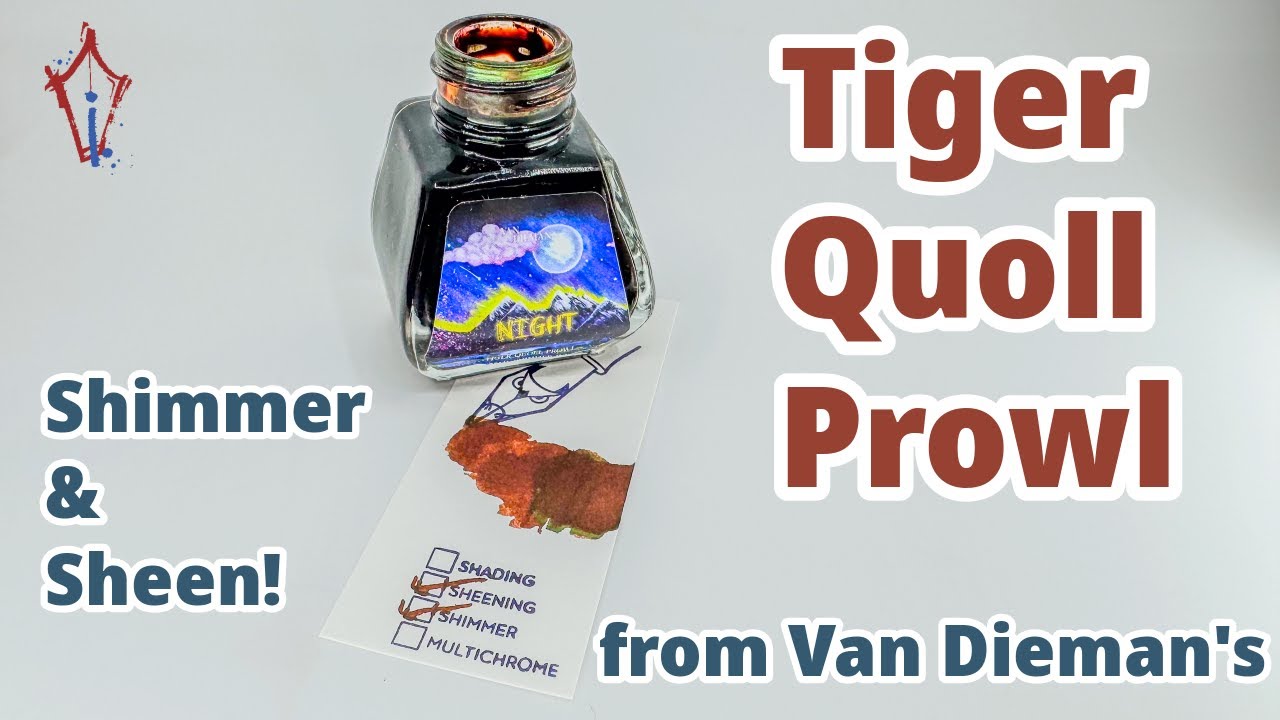 Van Dieman's Tiger Quoll is a lil critter with a big bite!