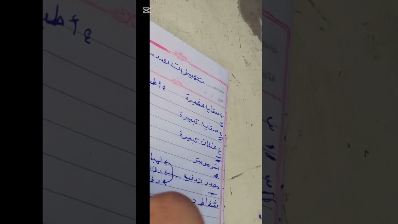 ازاي تبدا في مشروع الفراخ البيضه التسمين وكل المستلزمات اللي هتحتاجها
