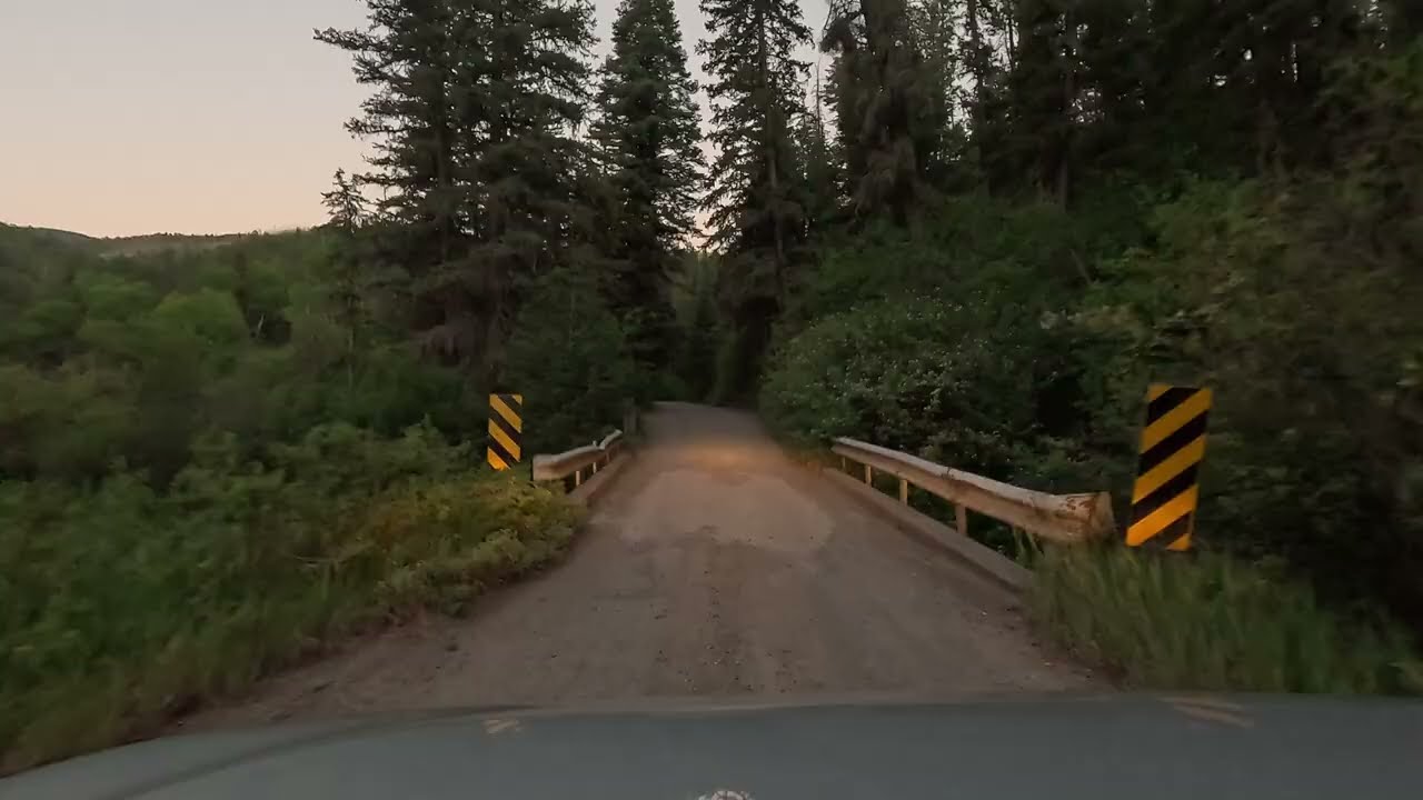 Hidden Santa Fe National Forest Scenic Relaxing Drive Near Pecos, NM No Music 4K