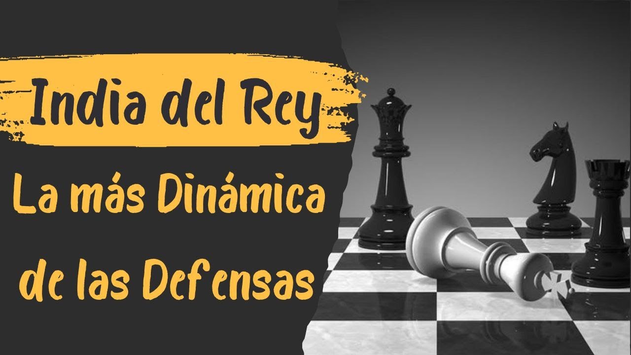 ⚡INDIA DEL REY  la DEFENSA de los ¡¡GRANDES CAMPEONES!!⚡
