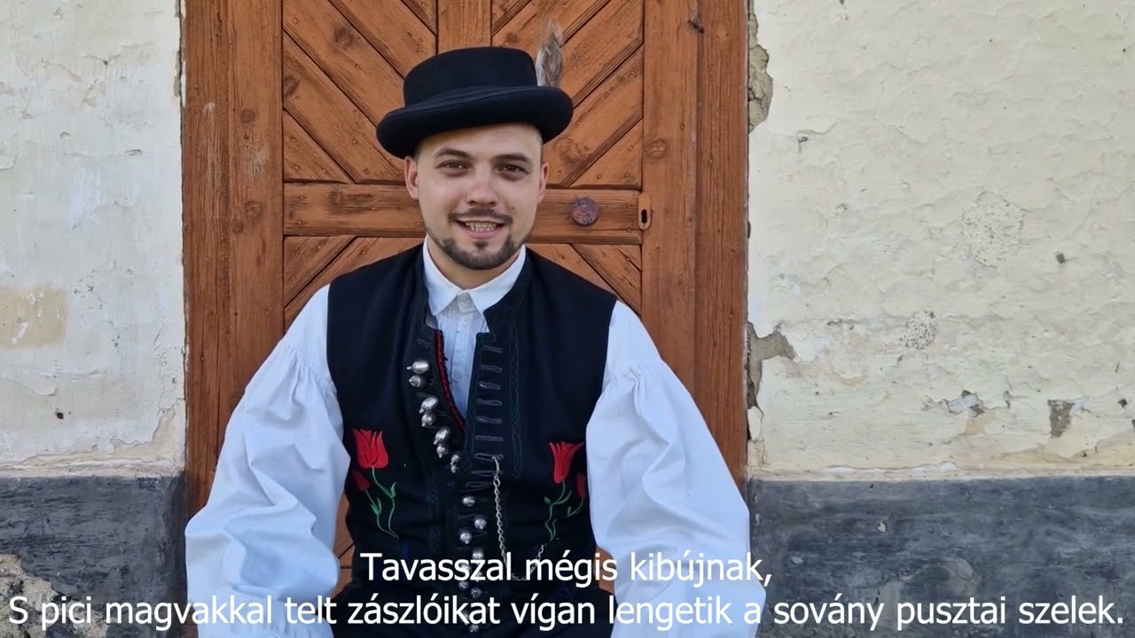 Élő Értékhét Kiscsősz