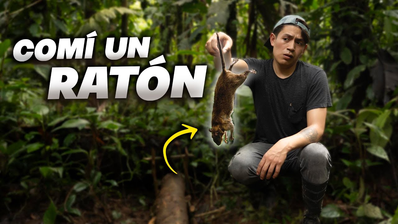 AQUÍ COMEN RAT0NES (Esmeraldas) | John Valverde