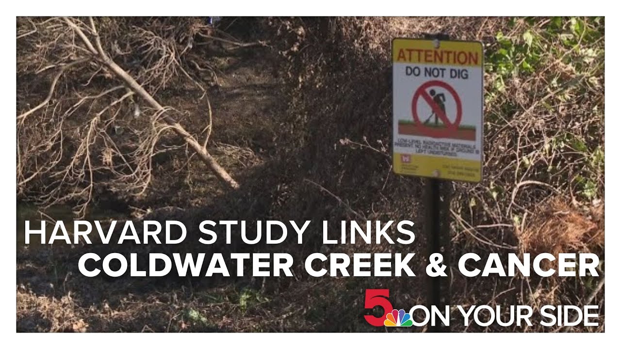Harvard researchers say they found direct link between Coldwater Creek and cancer rates