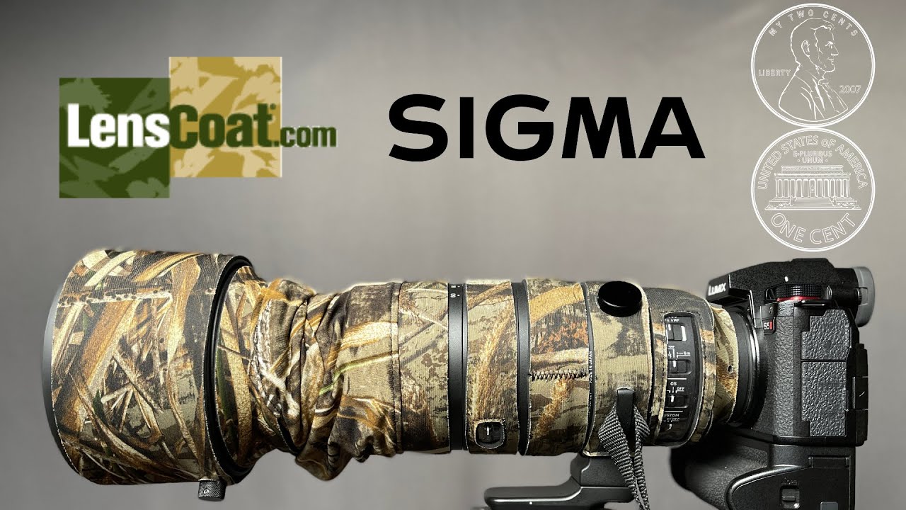 My Two Cents: LensCoat Lens Cover for the Sigma 60-600mm F4.5-6.3