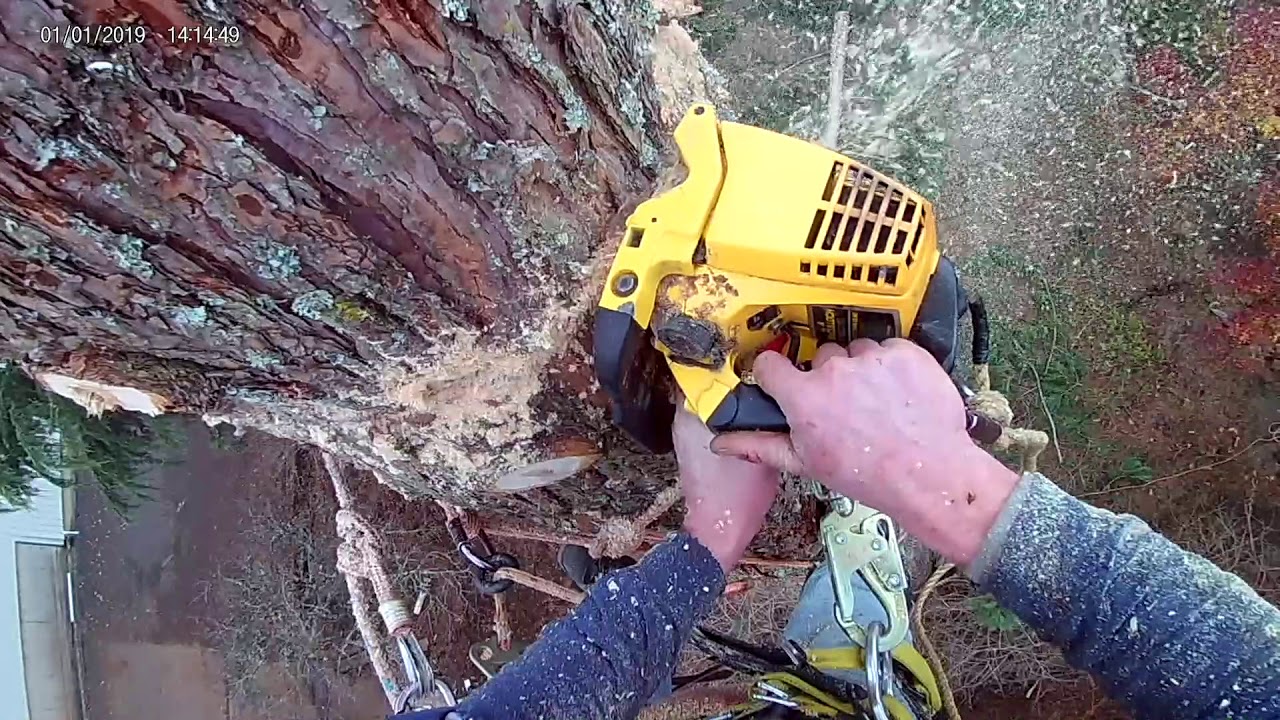 110 McCulloch tree topping