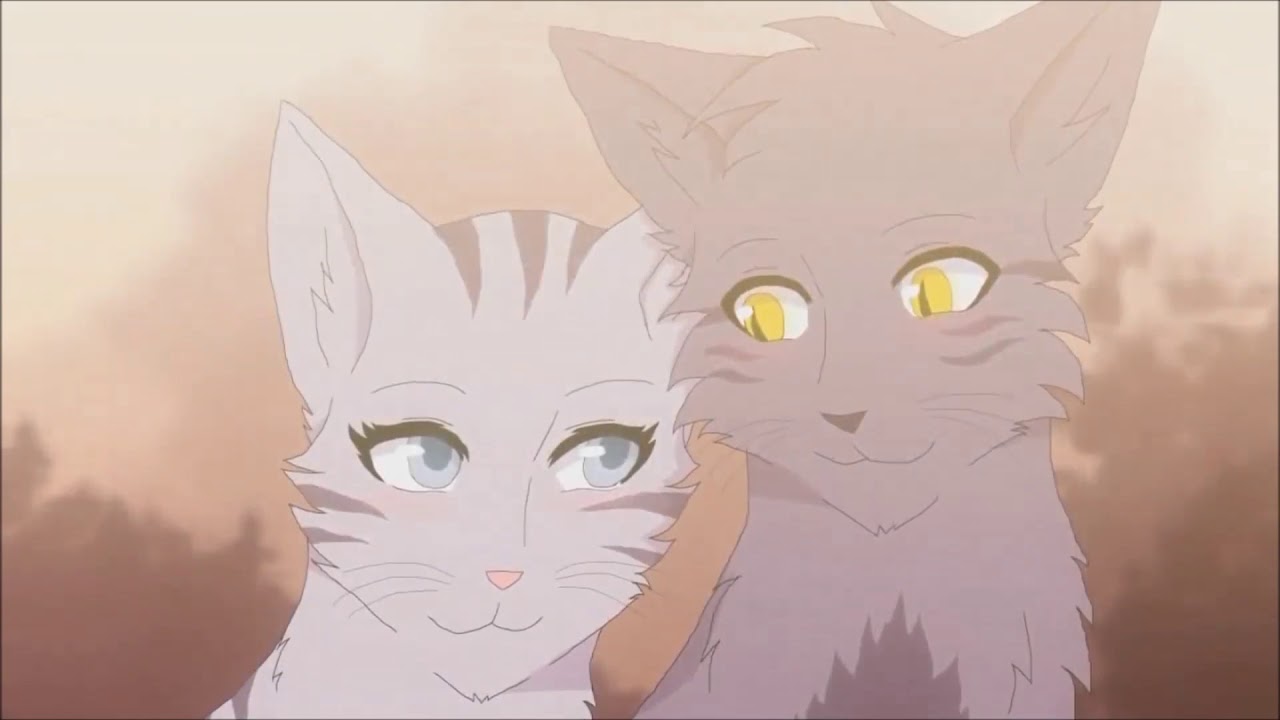 Warrior Graustreif und Silberfluss | Grenzenlose Liebe (Animash)