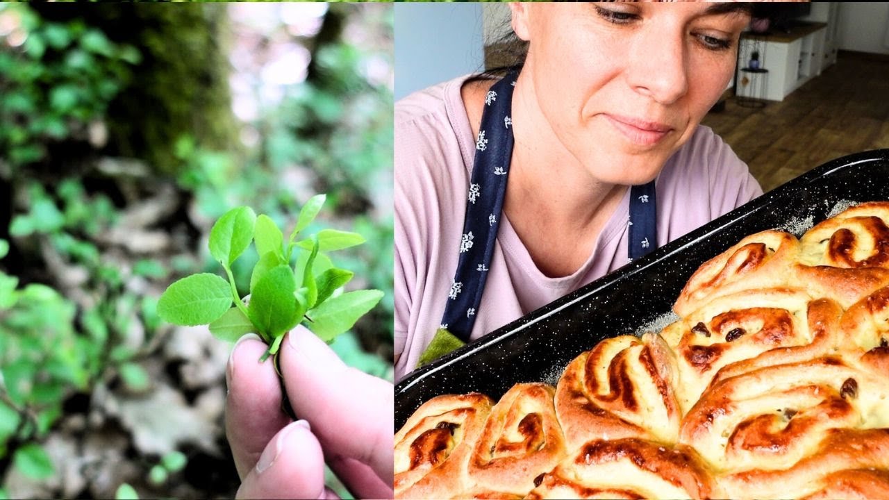 Sirup a limonáda z Černého bezu. Jak upéct šneky s tvarohovo-pudinkovou náplní.