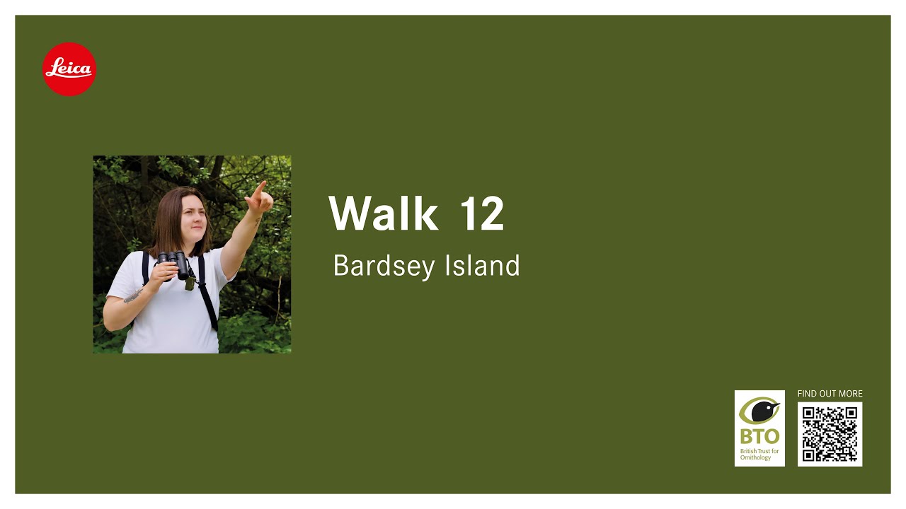Bardsey Island with Steve Stansfield - 12th '21 Wildlife Walks!'