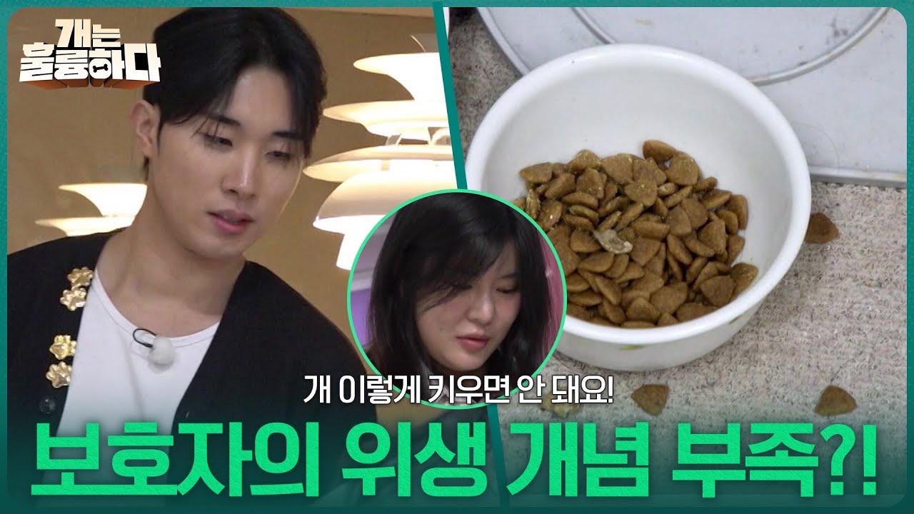 ＂개 이렇게 키우면 안 돼요!＂보호자의 위생 개념 부족?! [개는 훌륭하다] | KBS 260309 방송