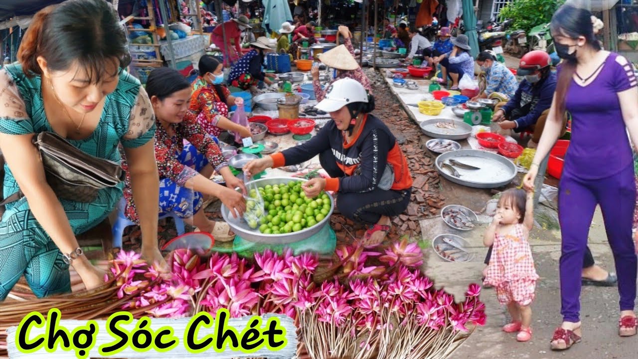 Quá đẹp màu hoa súng miền tây thăm Chợ Sóc Chét An Giang