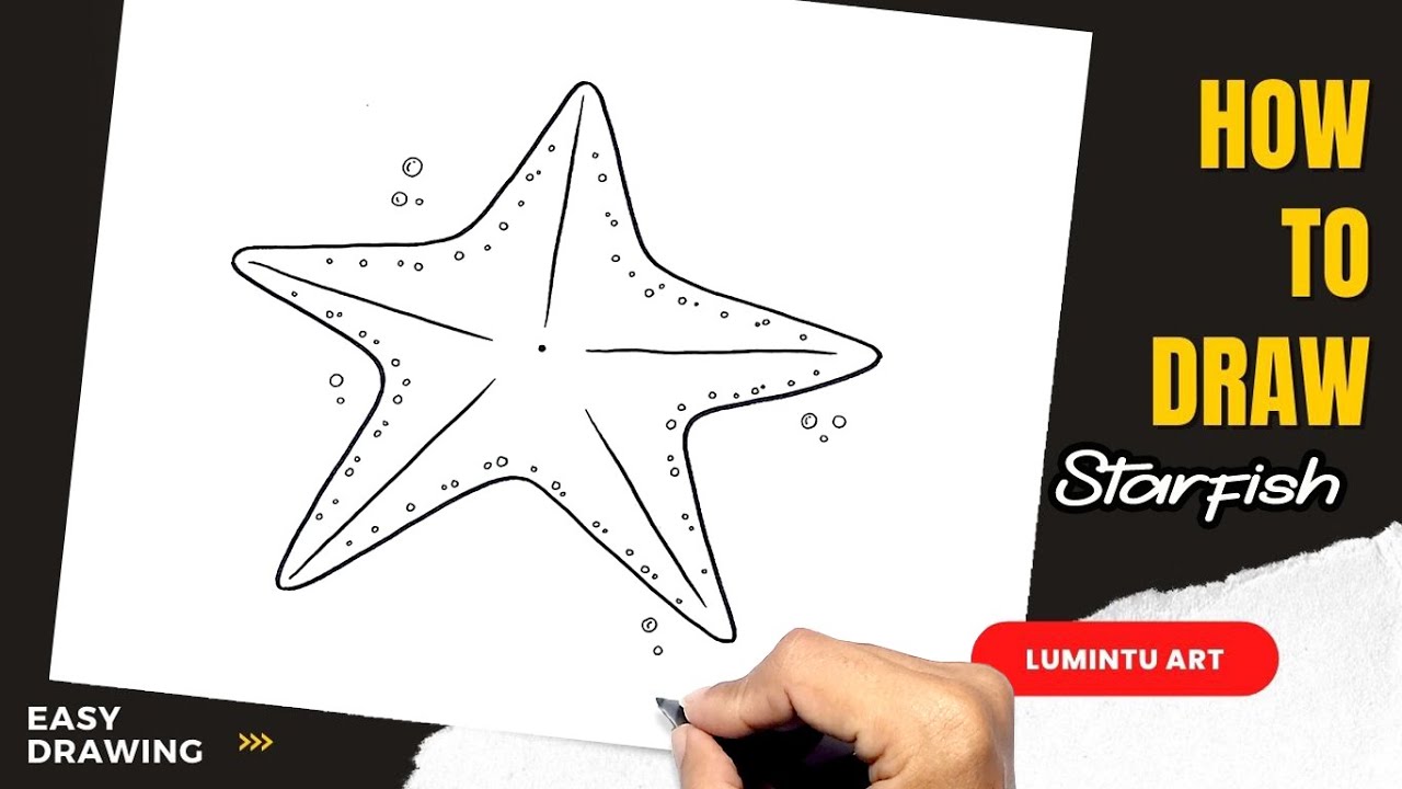 How to draw Starfish - Easy Starfish Drawing