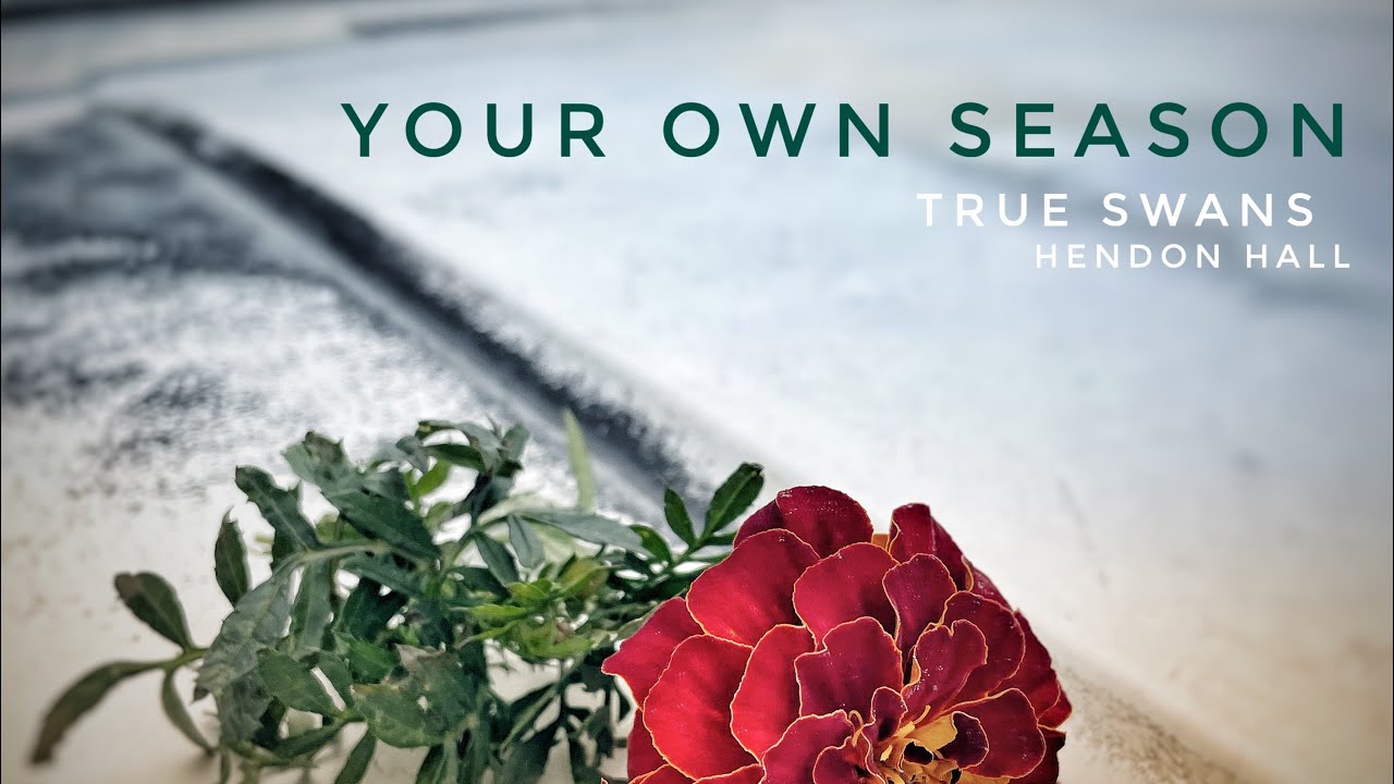 True Swans - Your Own Season ft. Hendon Hall, heard in the movie 'Armor' with Sylvester Stallone