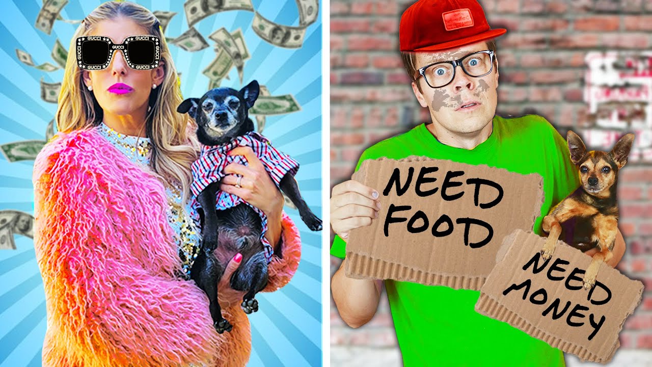 Rich Vs Broke Dog Sitter