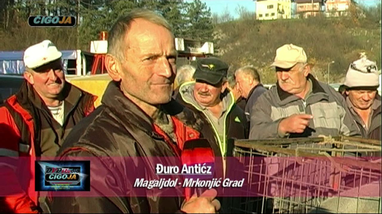 VASAR MRKONJIC GRAD 2017 ARANDJELOVDAN TRADICIJA