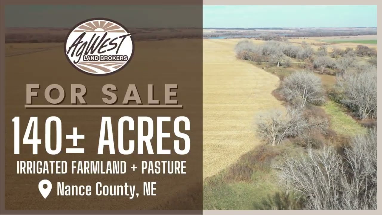 140+/- Acres For Sale in Nance County, NE