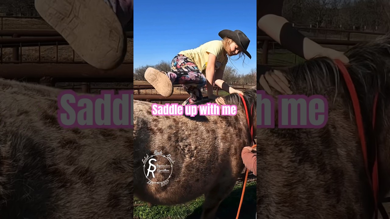 Pony rides with Nana are the best. #horsebackriding #animals #ponyride #equestrian