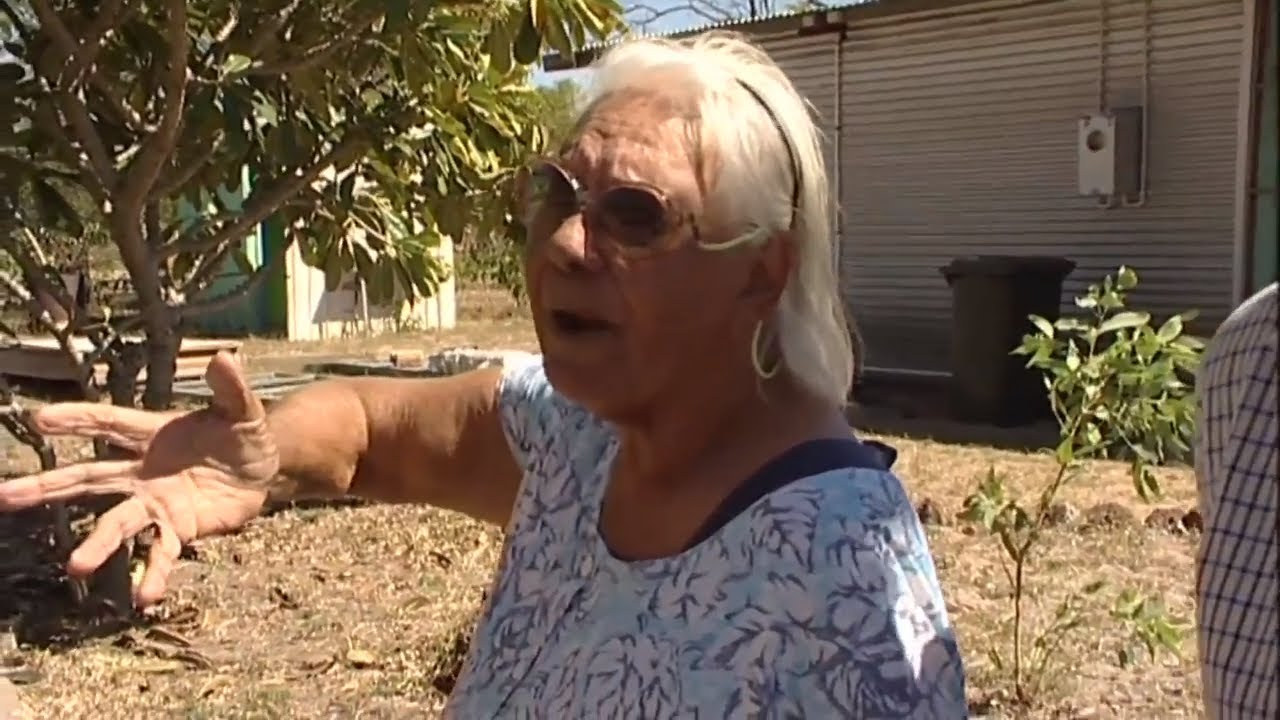 Aboriginal children were removed from their parents by the Government.