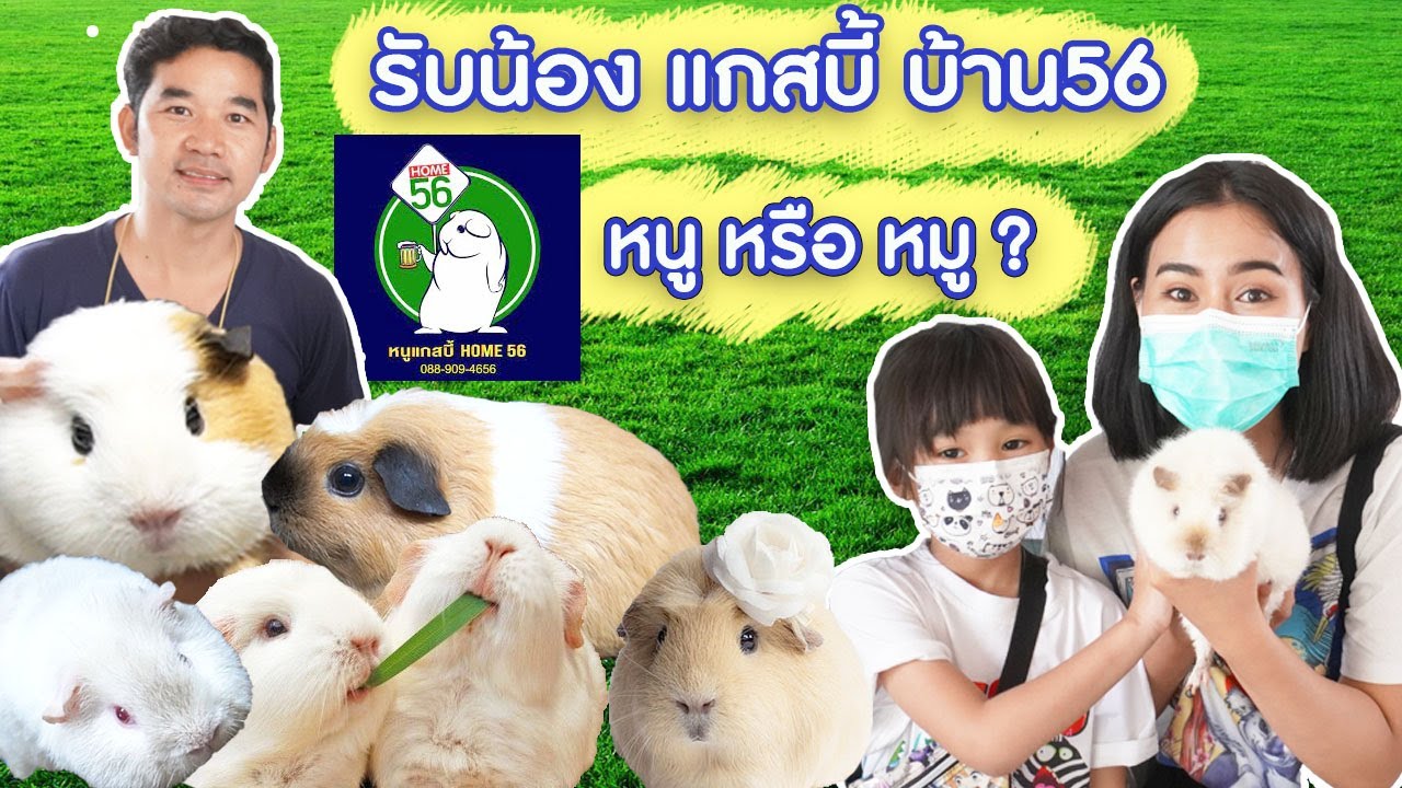EP.133 หนูแกสบี้ บ้าน 56 นั๊ลลาคค / เลือกไม่ถูกกันเลยทีเดียว/เอาตัวไหนดี