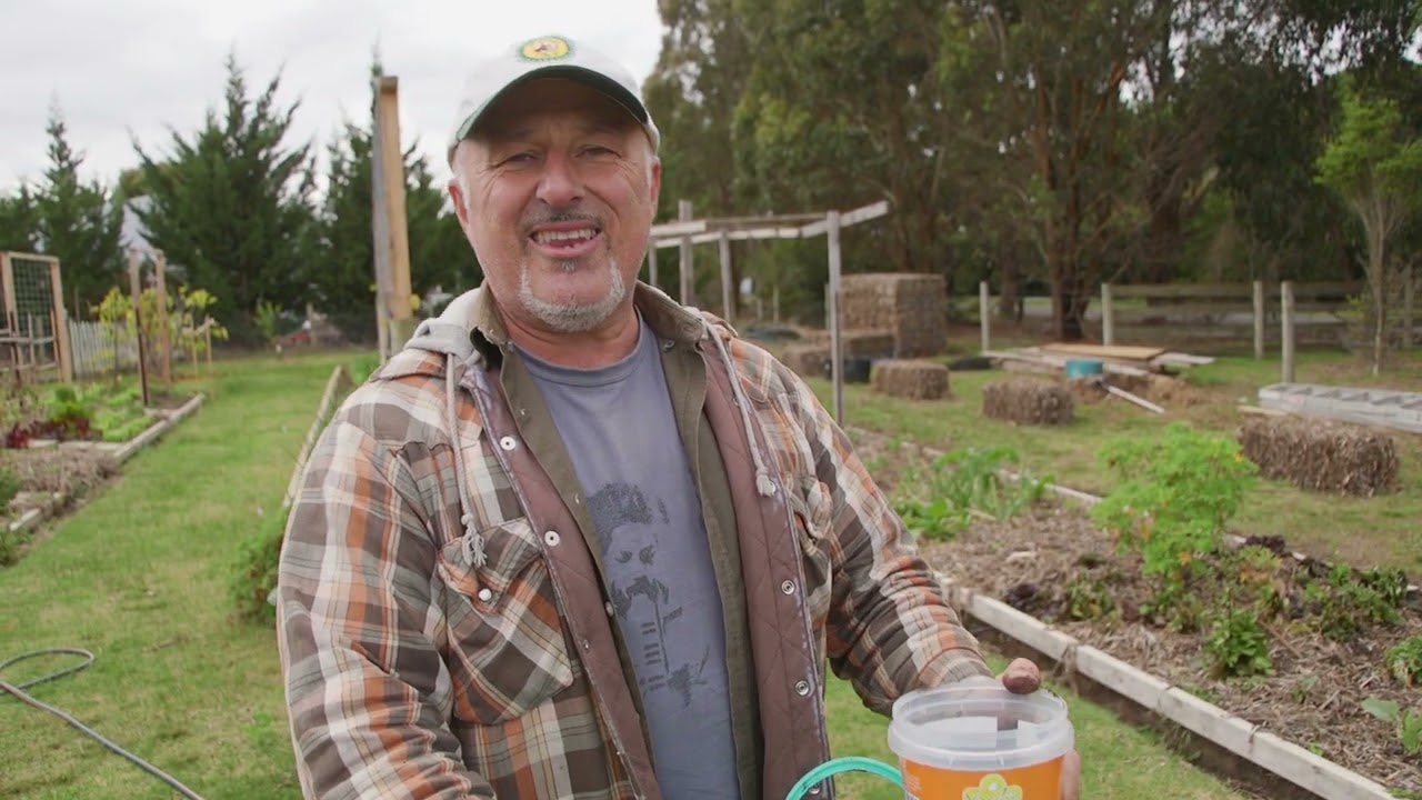 How To Transplant A Sumac Tree Into A Pot