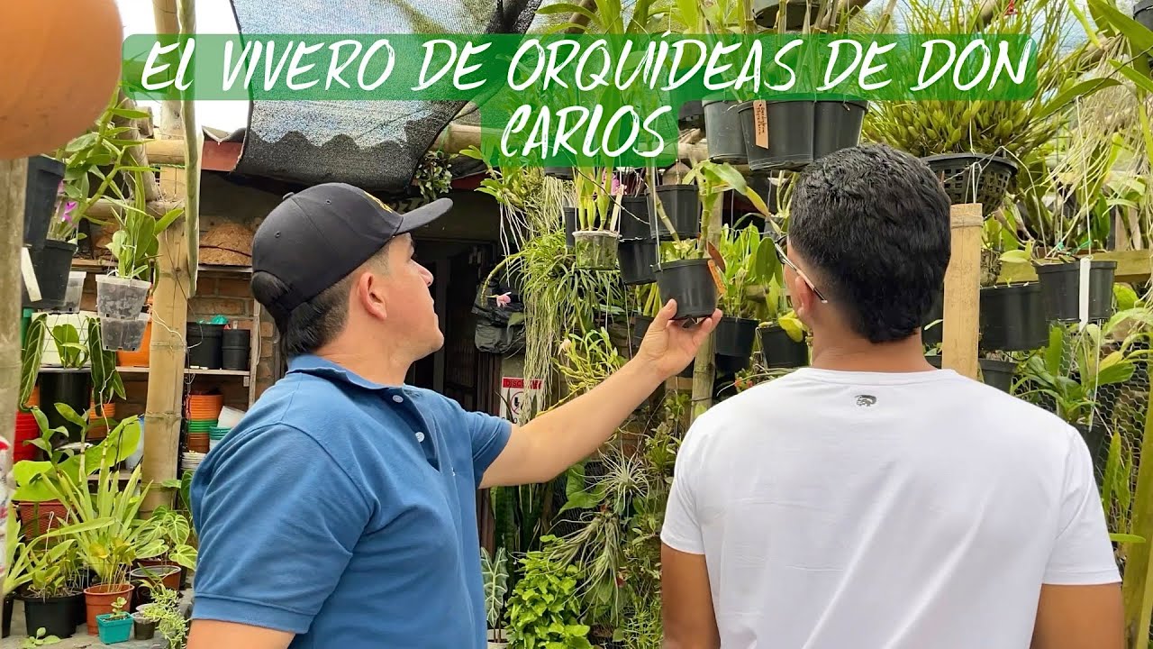 EL VIVERO DE ORQUIDEAS DE DON CARLOS