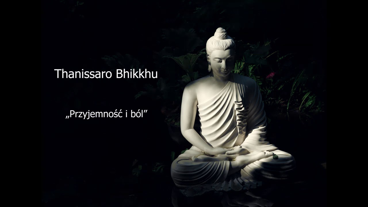 Przyjemność i ból - Thanissaro Bhikkhu [LEKTOR PL]