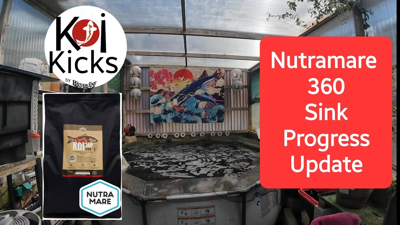 Nutramare 360 Sink Progress Update