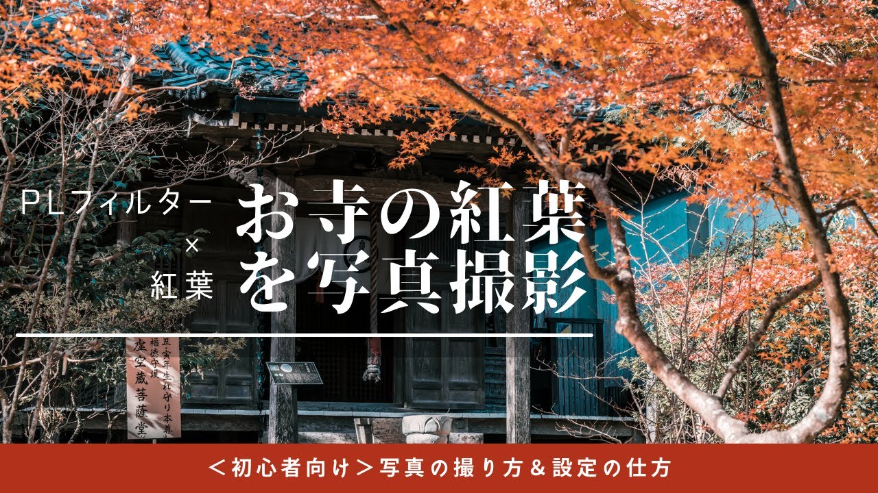 #34 【PLフィルターの使い方＆撮り方】竹林寺の紅葉を美しく撮影するテクニック｜初心者でもできる秋の絶景写真