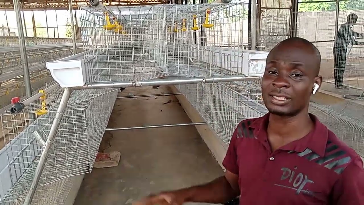 A To Z On Locally Fabricated Poultry Cages