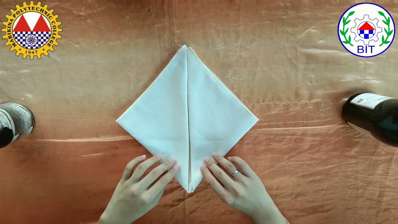 15 DIFFERENT TABLE NAPKIN FOLDING TUTORIAL!!!