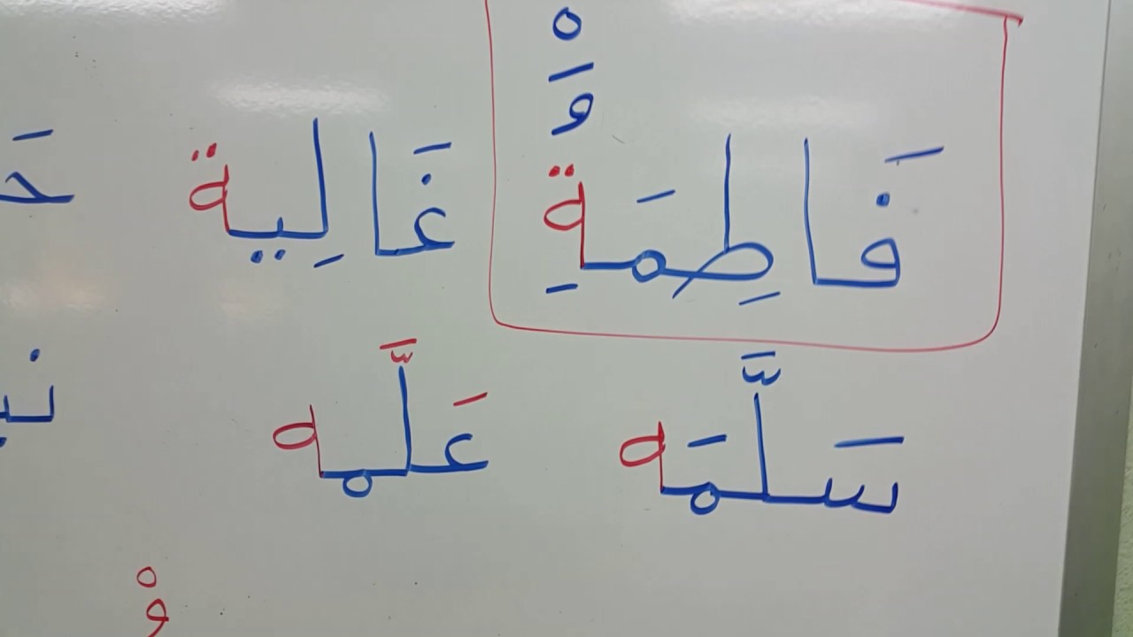 التاء والهاء والتاء المربوطة عرض مبسط مختصر