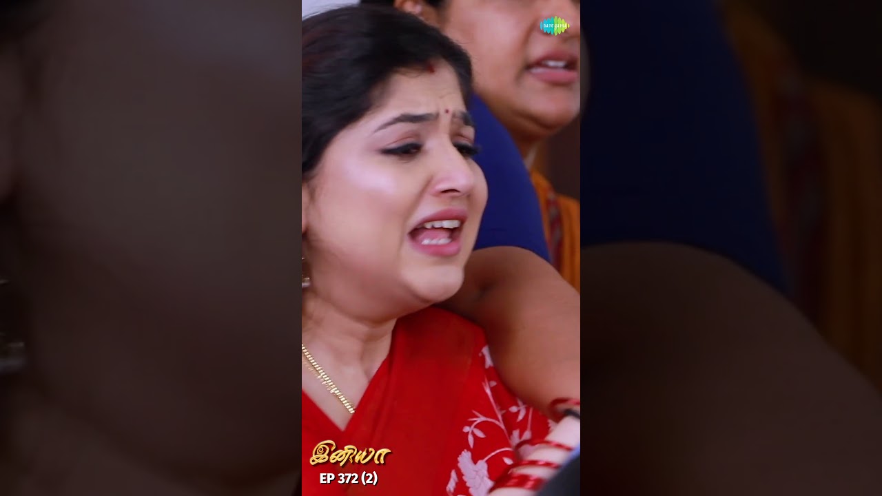 Iniya Serial Shorts | Ep 372 - 2 | #Iniya | Alya Manasa | Rishi | #shorts #ytshorts