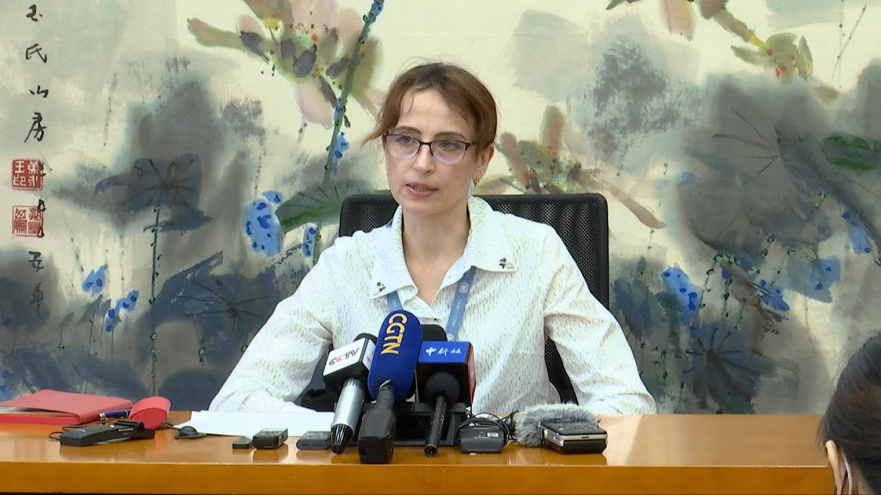 UN expert: Unilateral sanctions against China are illegal coercive measures