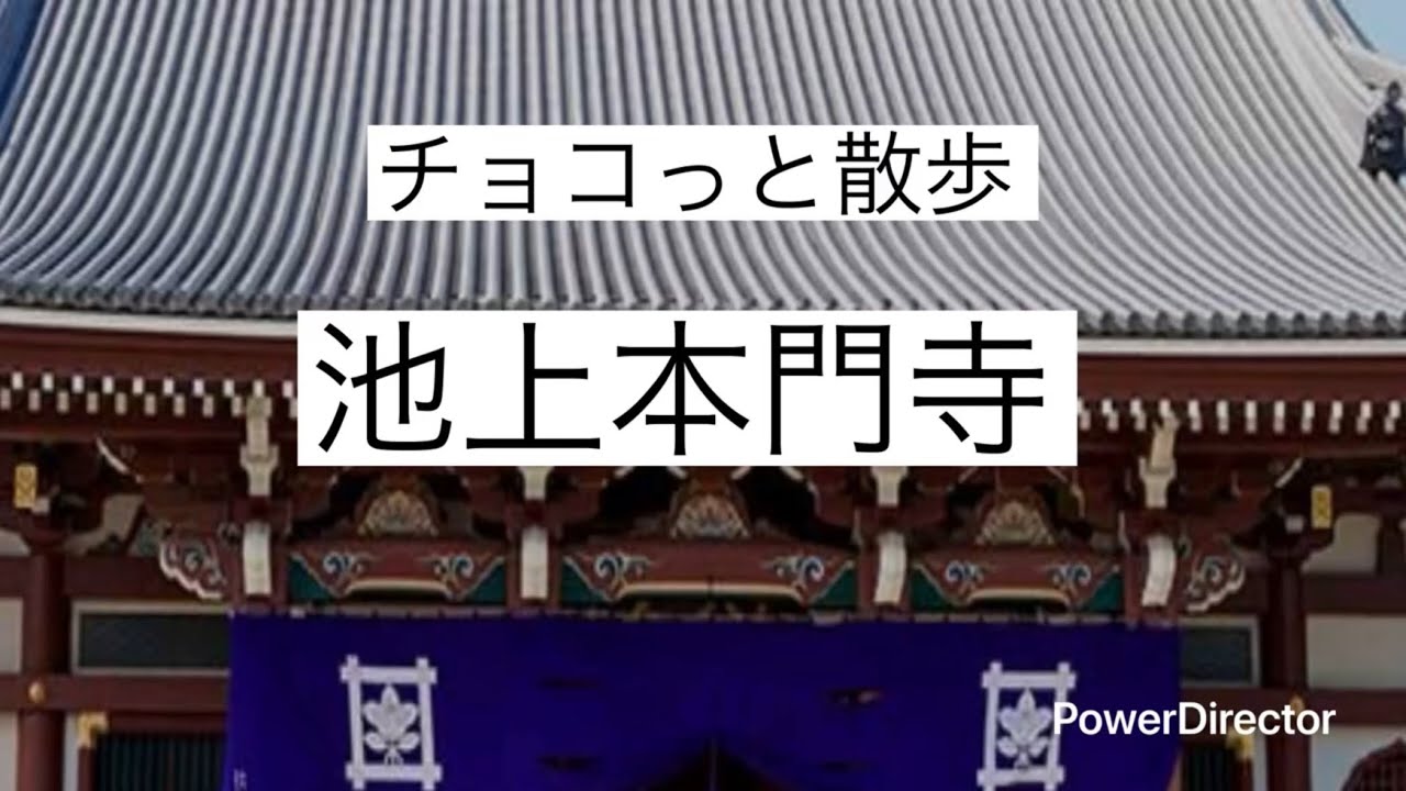 池上本門寺　豆の1人チョコっと散歩