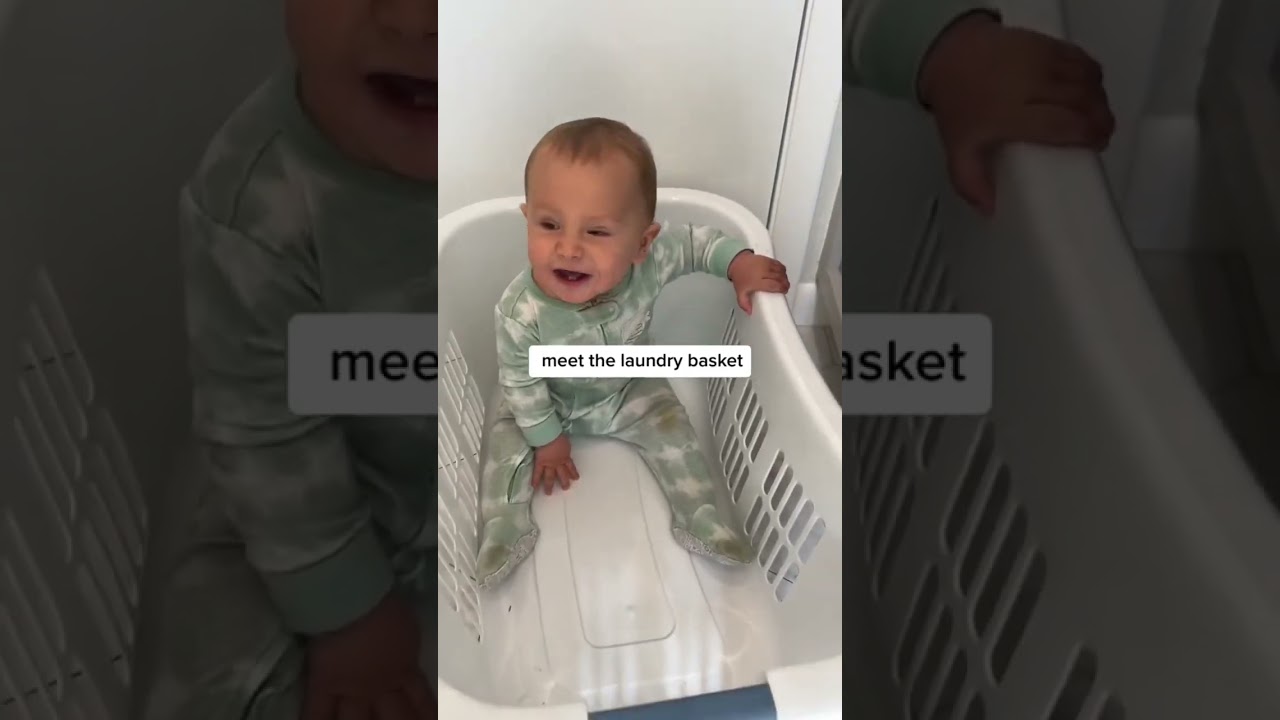 Need a babysitter?